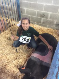 Lafayette 4-H Member Molly Hamlin with her hog, ready for the Hog Showmanship Competition