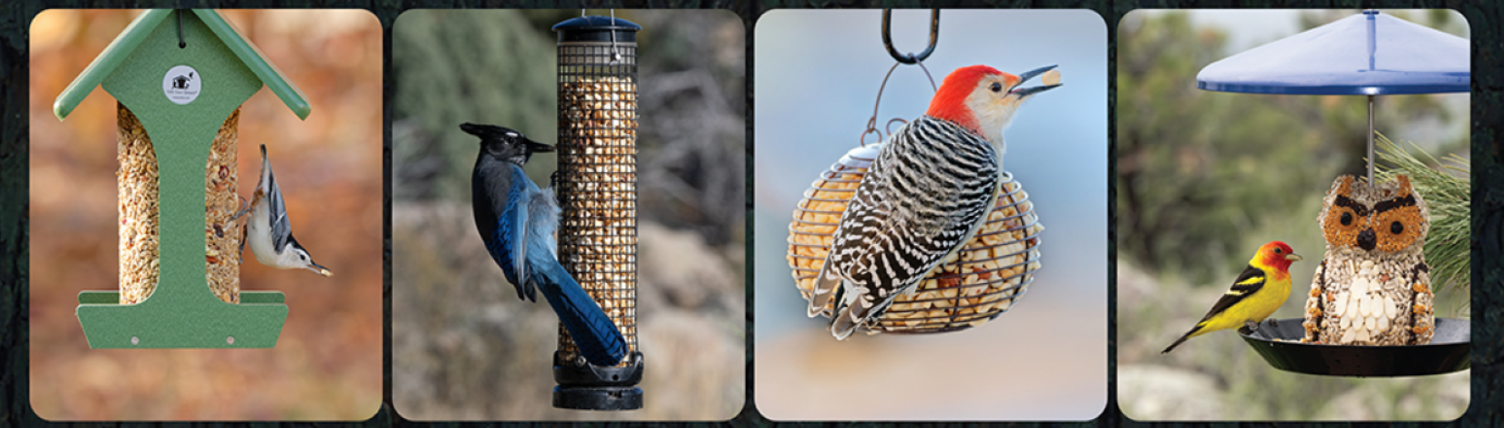 Watch the Birds w Column Food Feeders and Peanut Feeders