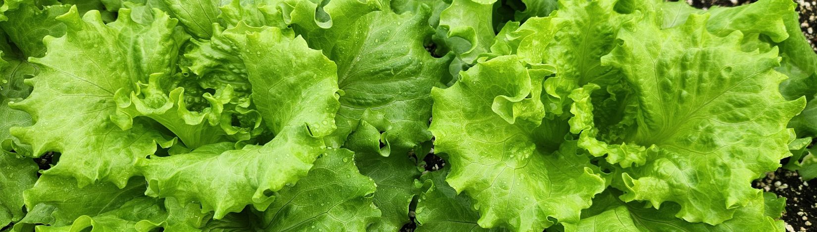 Mr Peter Russell gave a wonderful presentation!