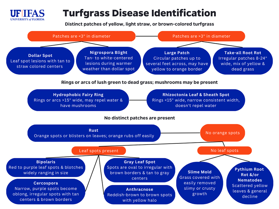 Turfgrass Disease Flow Chart