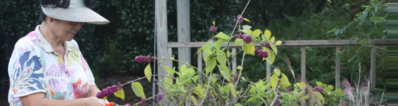 Health benefits of gardening