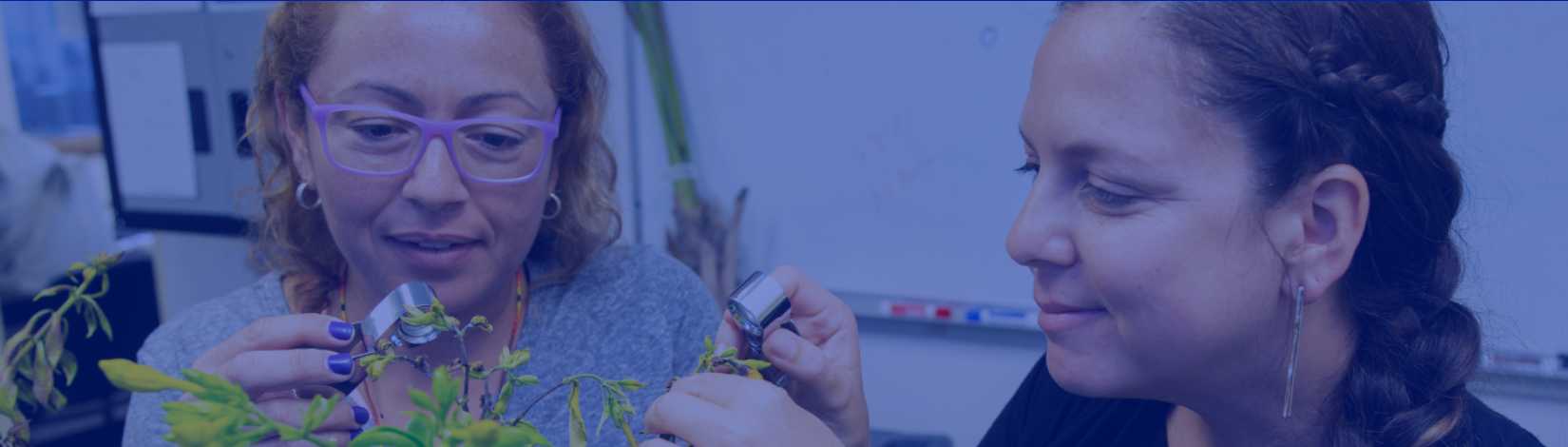 Starting Your Greenhouse or Nursery Business in Central Florida: Pest and Disease Management Resources