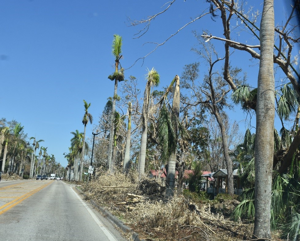 McGregor Blvd., Fort Myers, September 2022