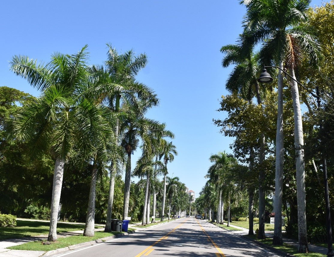 McGregor Blvd., Fort Myers, September 2024