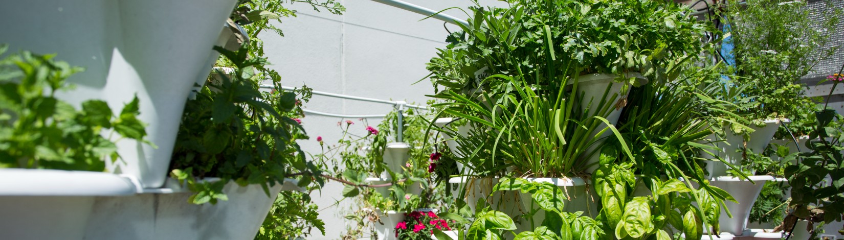 National Sustainability Summit and National Extension Energy Summit Conference at the Westshore Grand in Tampa, Florida.