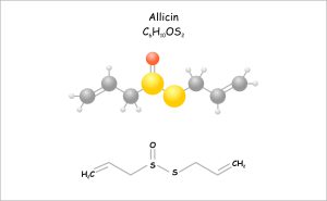 Stylized molecule model/structural formula of allicin.