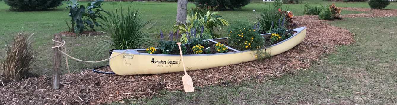 aluminum canoe planted with yellow and purple flowers