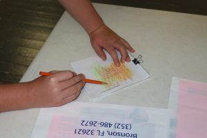 people, dead insects and drawing insects