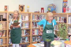 people, dead insects and insect drawings