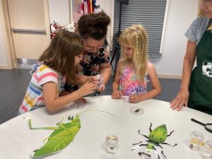 people looking at insects