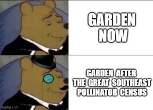 Winnie the Pooh meme showing pride in his garden