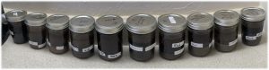 a row of mason jars filled with soil