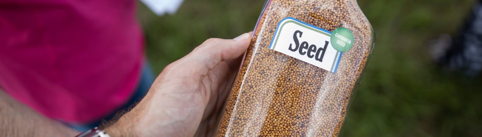 Carinata seed in a bottle.