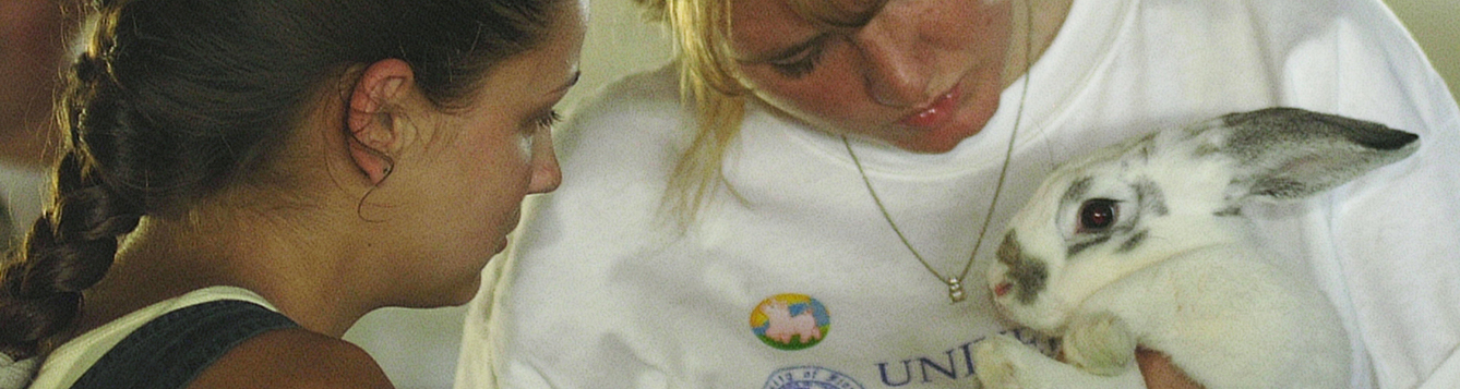 4-h coordinator holding a rabbit