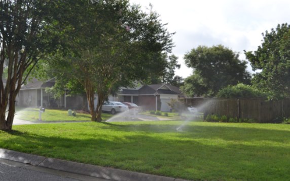 lawn irrigation with sprinklers