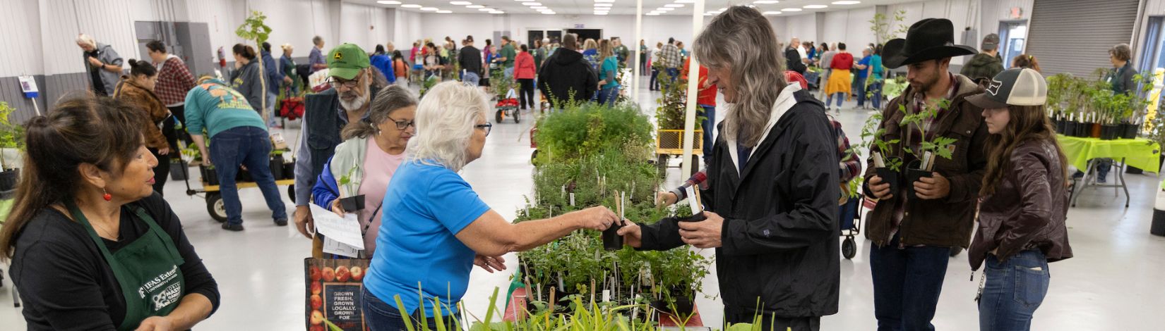 Volusia County Master Gardener volunteers interacting with the public at an Extension plant sale.