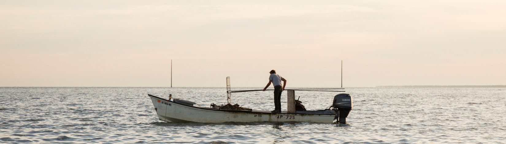 An oyster farmer harvesting oysters in the Gulf of Mexico off of Apalachicola, Florida.