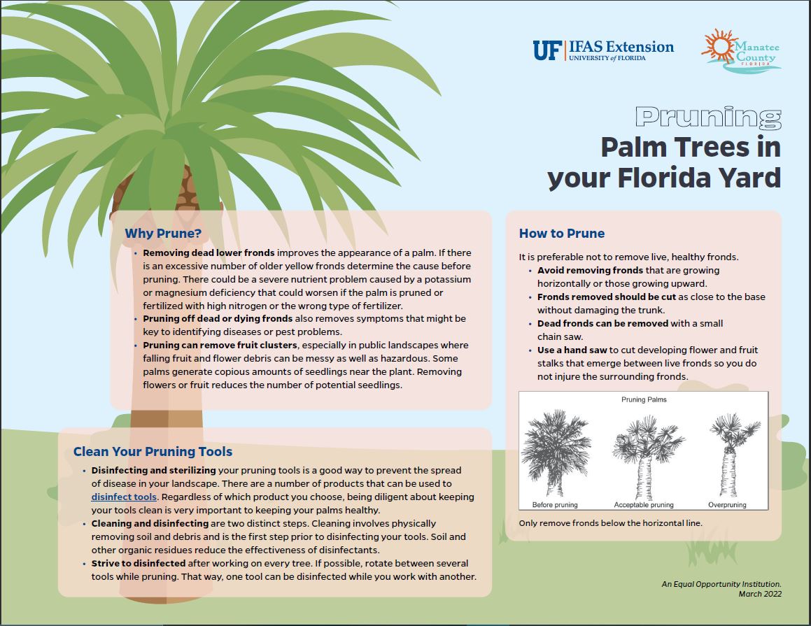 Is Peeling Bark Bad?? - UF/IFAS Extension Duval County