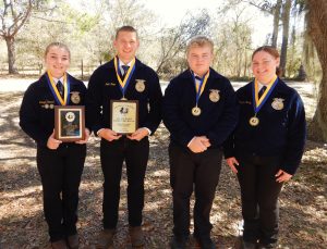 Highest Scoring team overall