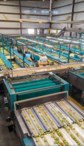 West Coast Tomato Packing House