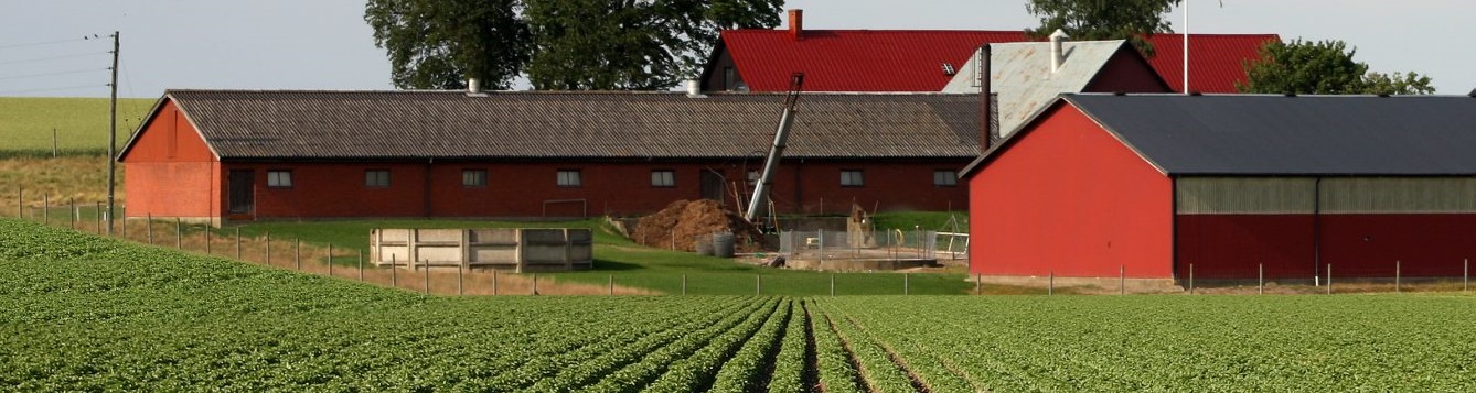 Ranch with composting pile