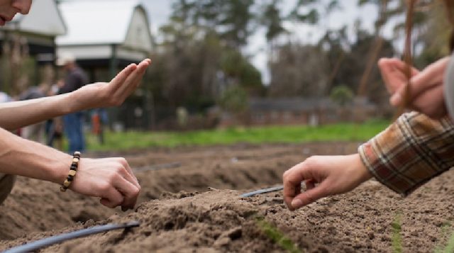 Dream of becoming a Farmer? Fall 2025 Small Farm Start Up School opens for registration