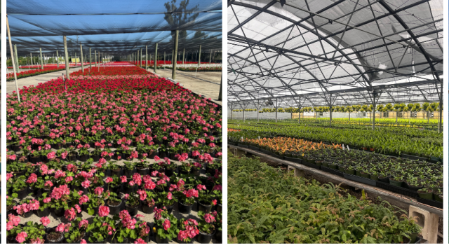 UF/IFAS Extension Manatee County 2025 Farm City Week Agricultural Tour: Keeping Agriculture Alive in 2025.