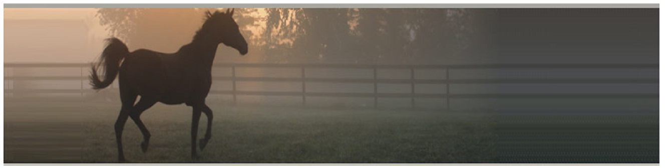 Don't Forget Your Horses' Paperwork - Uf Ifas Extension Marion County