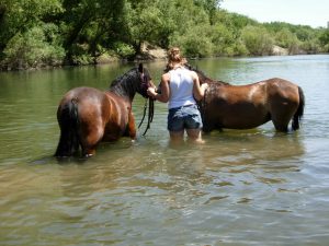 Hurricane Preparation