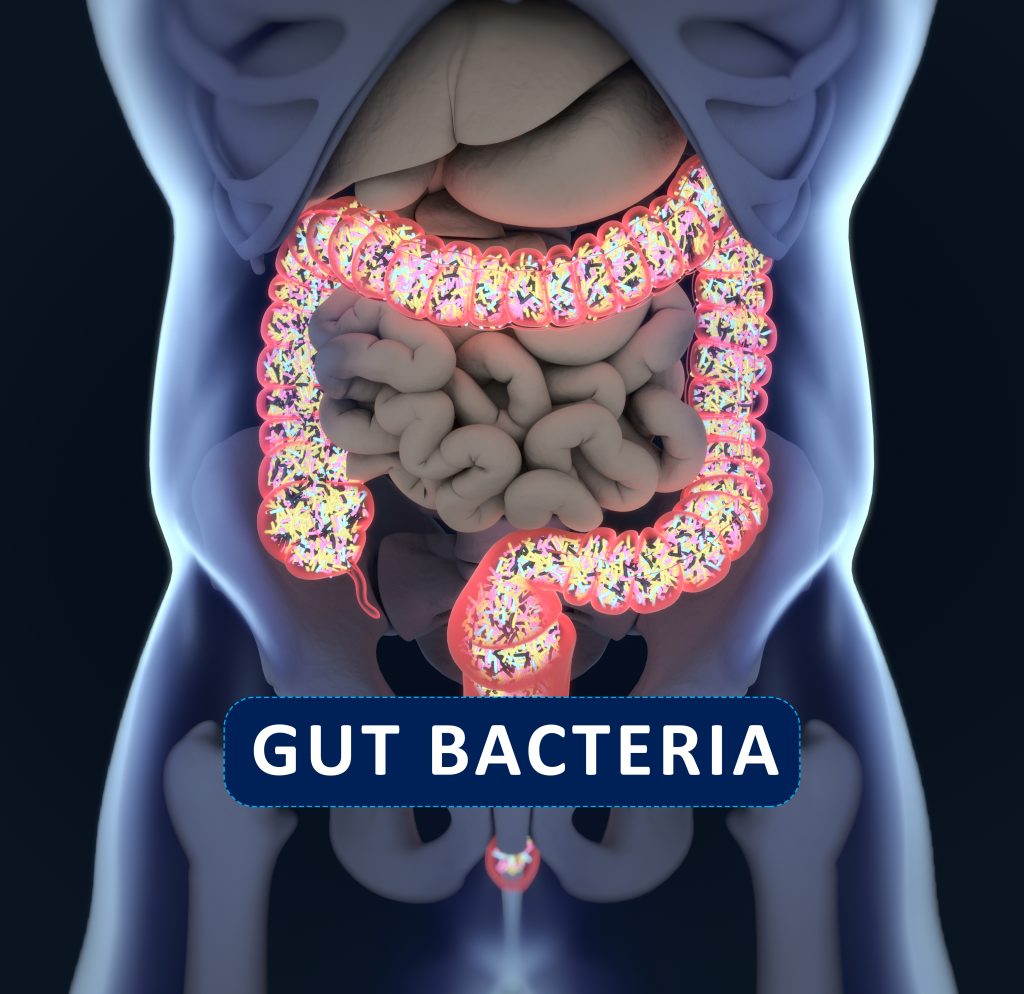 What is Leaky Gut? - UF/IFAS Extension Marion County