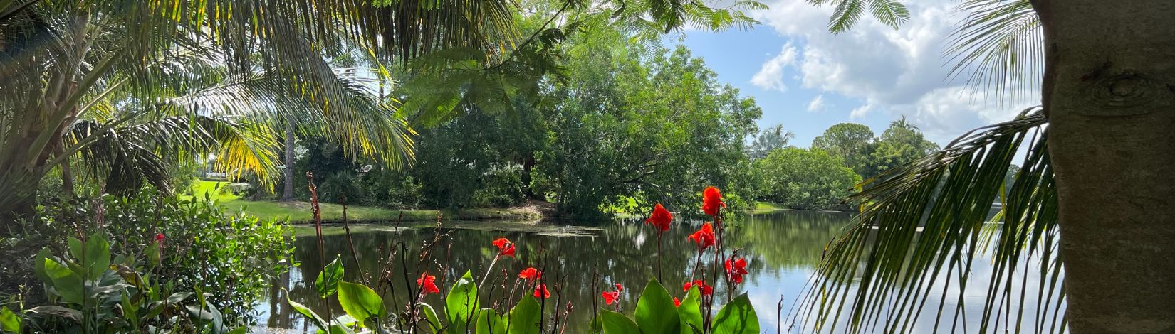Pond shoreline with colorful flowers and vegetation.