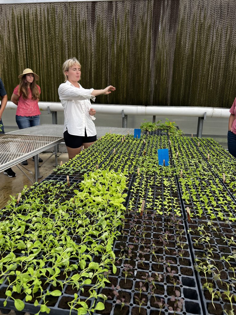 A farmer shares information about hydroponic production