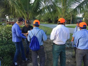 landscapers prepare for certification exam