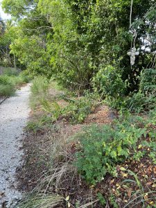 Native trees, shrubs, and flowers border the bioswale, which appears as a gravel pathway.