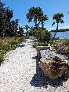 Shoreline plantings, a trail, and a bench are shown at the Ripple project along the St. Lucie River waterfront.