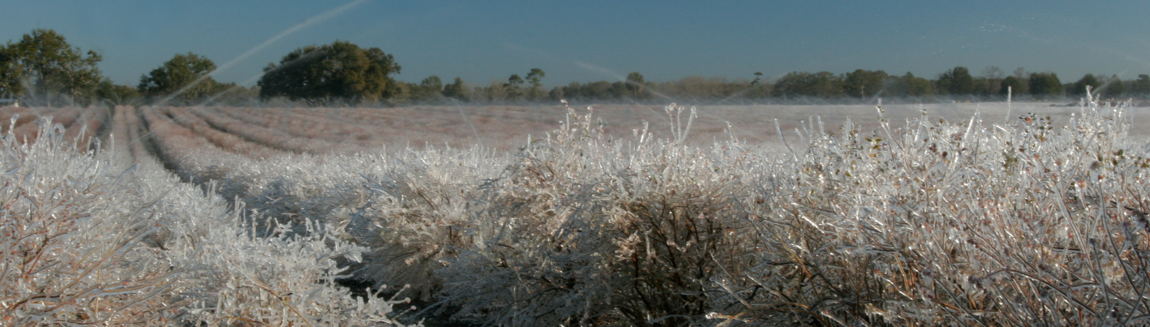 a farm field is shown covered in frost