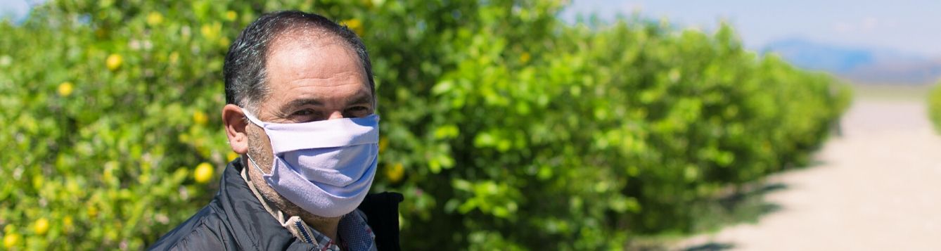 Man wearing cloth face covering in grove.