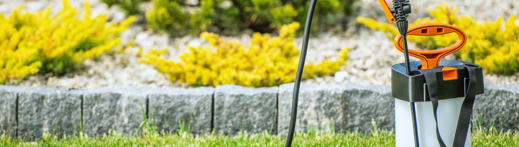 backpack sprayer next to ornamental bed