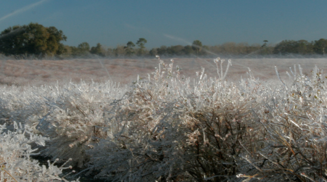 a farm field is shown covered in frost