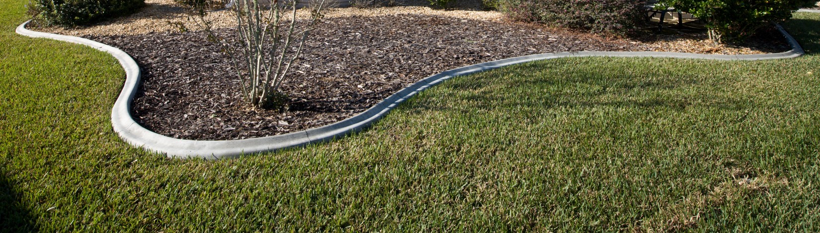 Florida home and backyard. Home, house, yard, backyard, landscaping, St. Augustine grass.