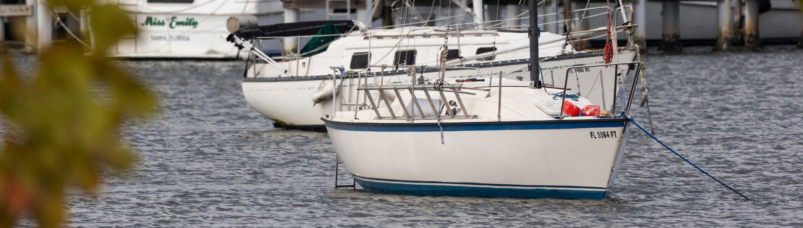 Sail boats docked in a Tampa Bay marina.
