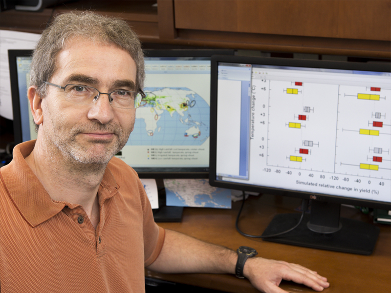 Image of Senthold Asseng at a computer. 