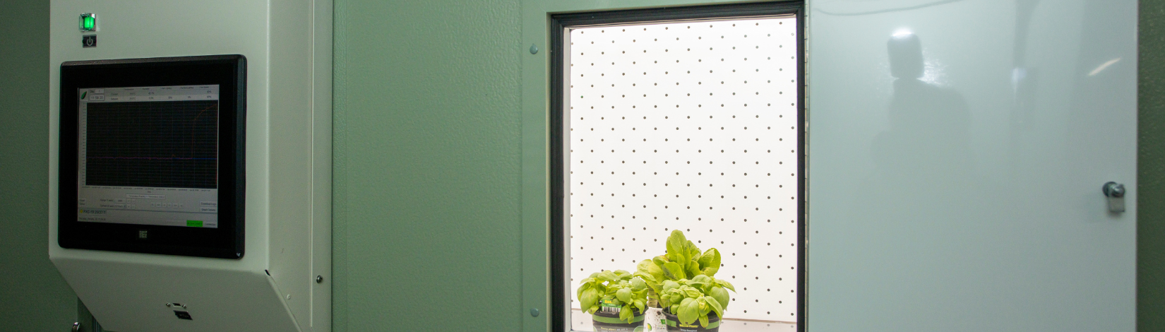Plants in the growth chamber