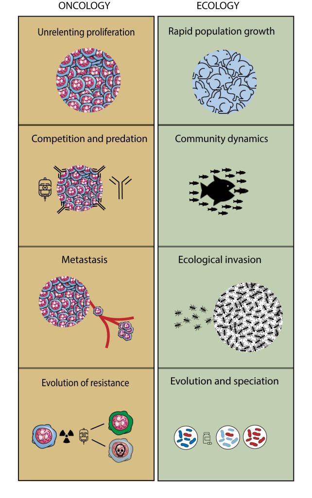 A visual abstract for the study