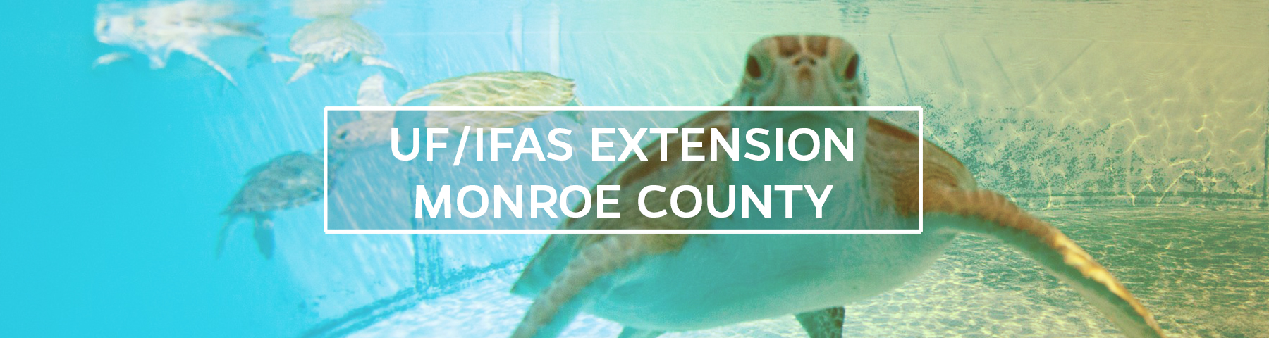 UF/IFAS Extension Monroe County