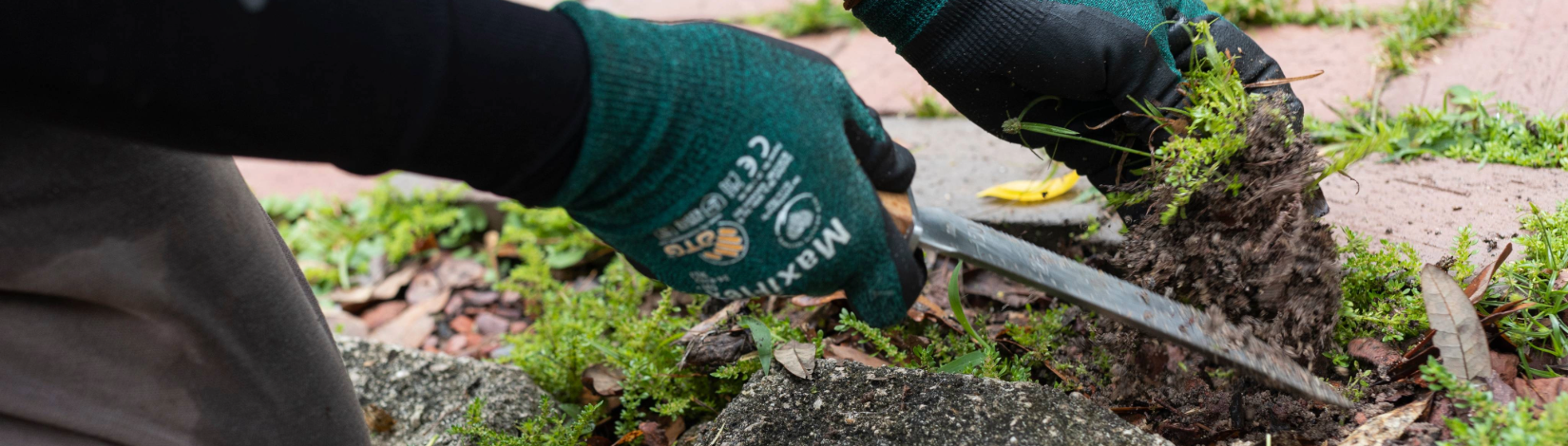 A hand Pulling weeds from a garden.