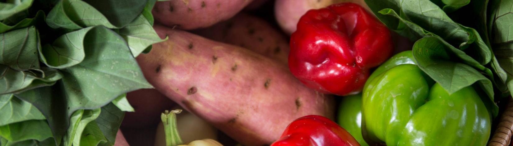 Assortment of sweet potatoes, red and green bell peppers, and leafy greens.