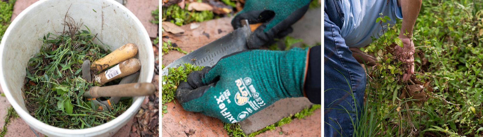Three-part image showing gardening tools in a bucket, hands with gloves using a trowel, and a person pulling weeds.