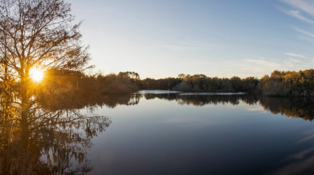 Panorama of sunrise at Lake Alice.