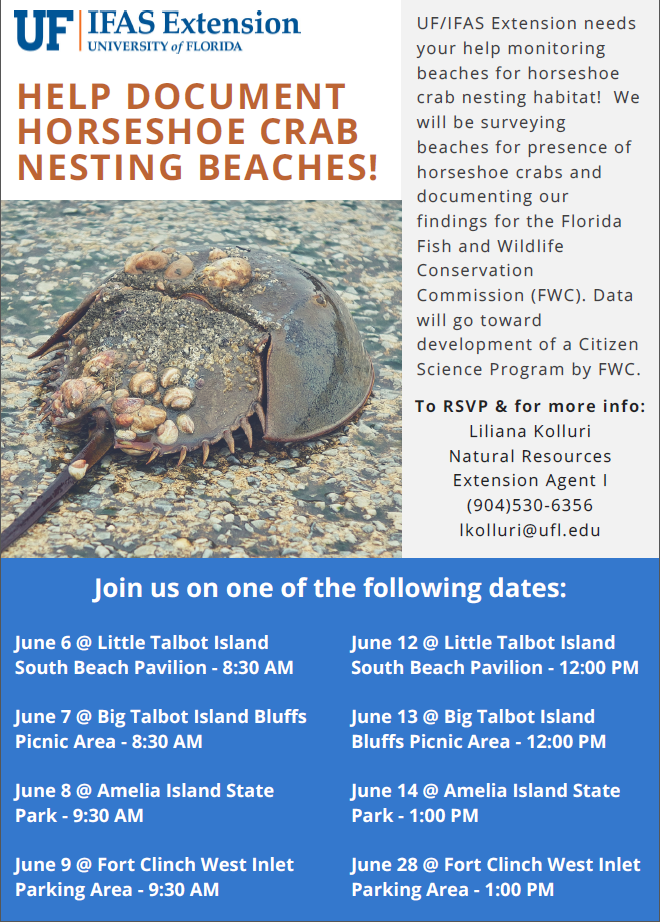 Join Us For Our June Horseshoe Crab Monitoring Dates! - Uf Ifas 